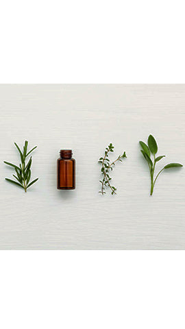 The Essential Oil Guide